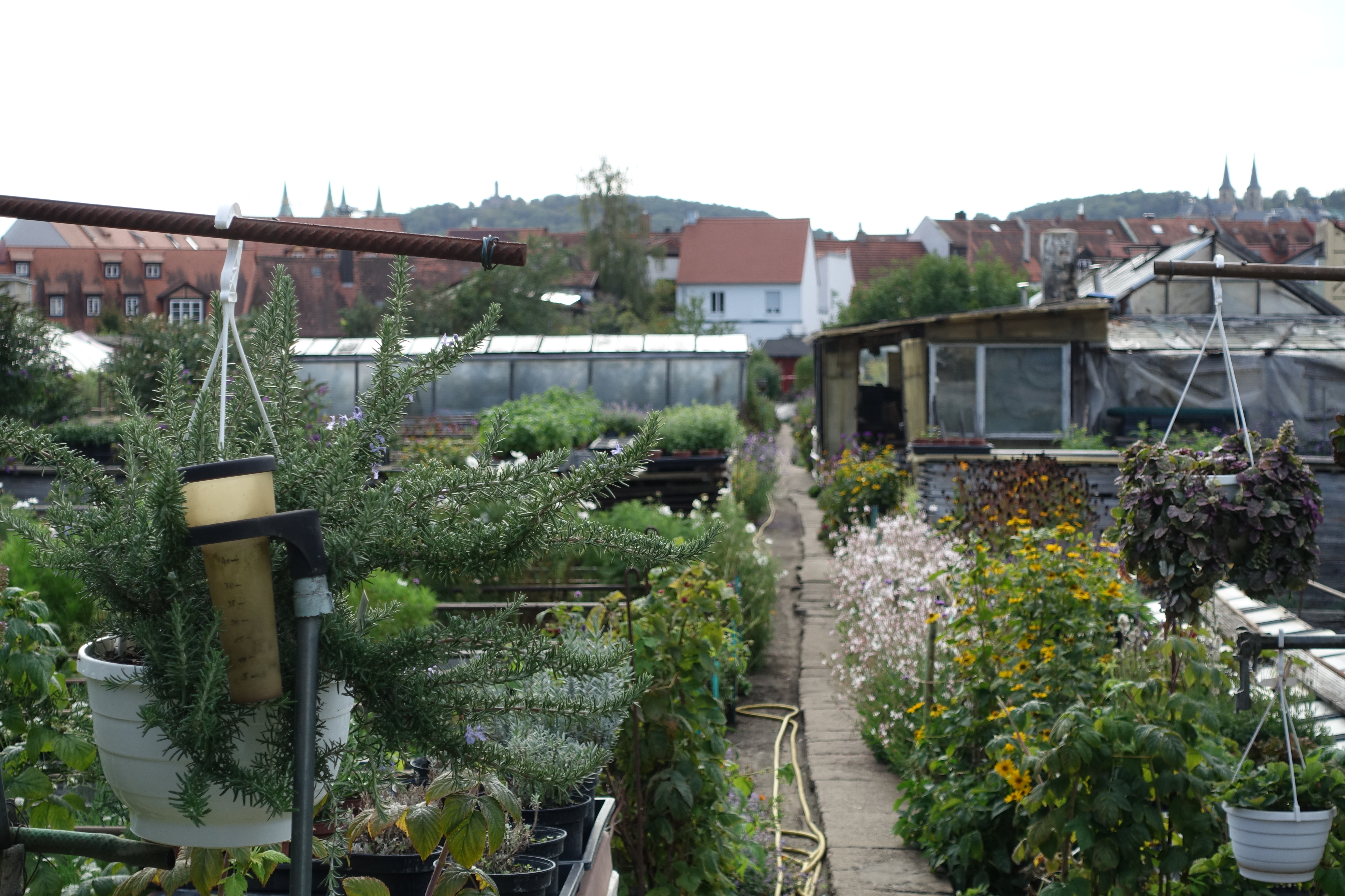 Bild aus Bamberg